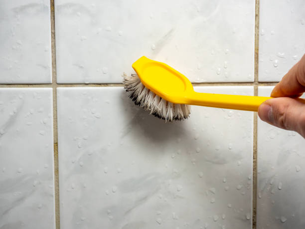 Best Bathroom Mold Remediation in Martinez, GA