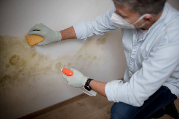 Best Preventive Mold Services in Martinez, GA